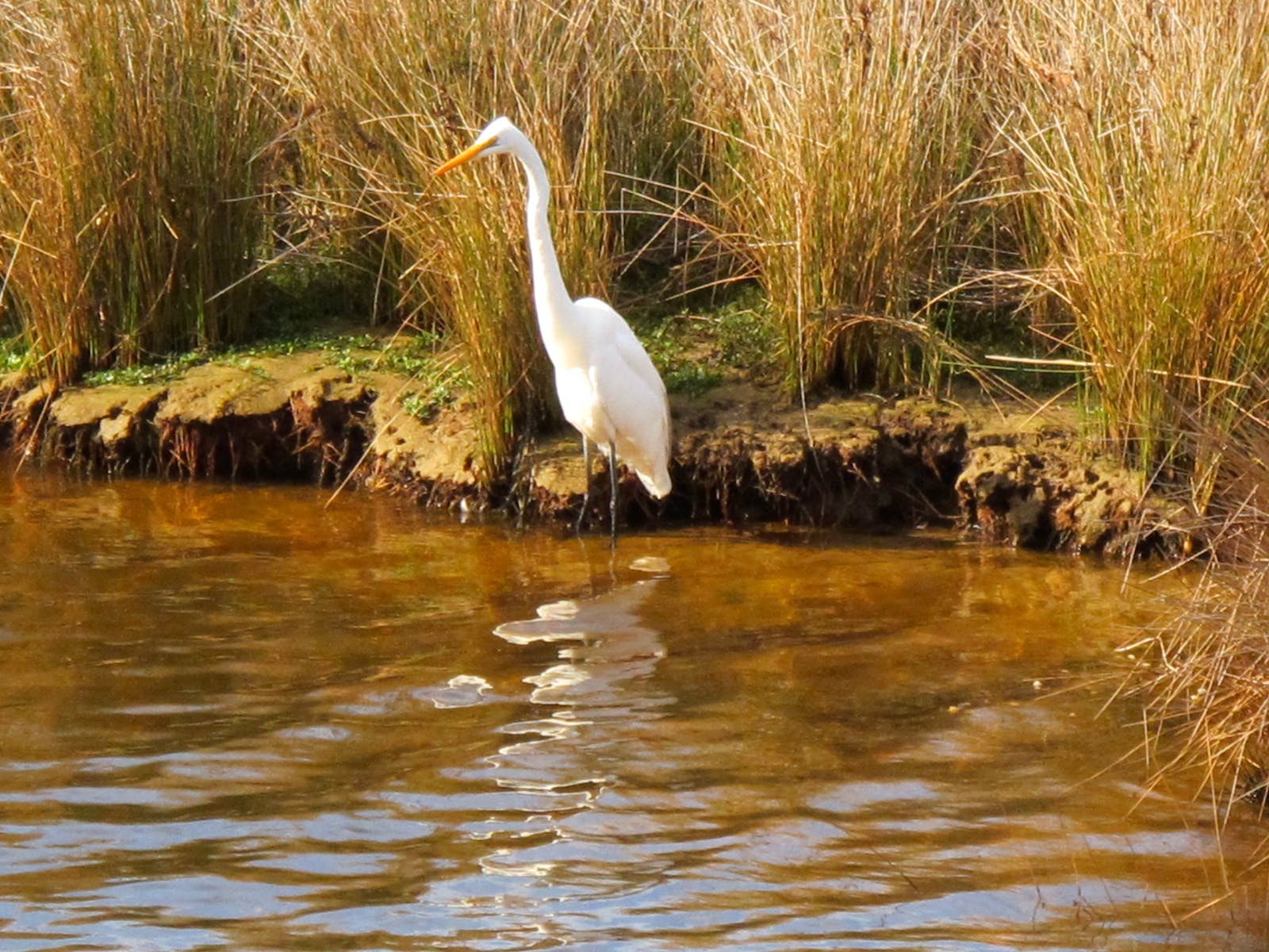 Tidal River Wilson Prom Australia