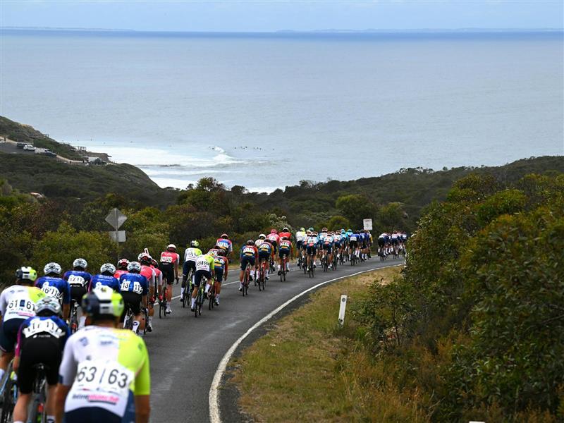 A rear view of cyclists as the ride the Great Ocean Road