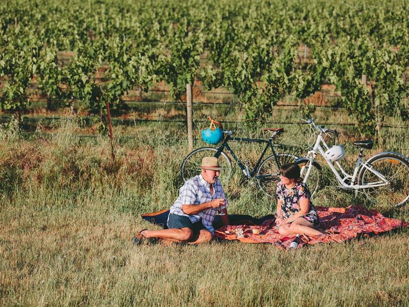 Murray to Mountains Rail Trail - Rutherglen to Wahgunyah