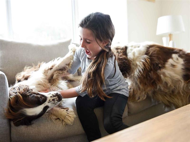 Perfect Pet Friendly Accommodation