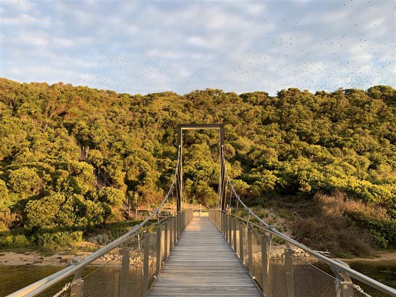 Discovery Walk on AmazingCo Mystery Picnic