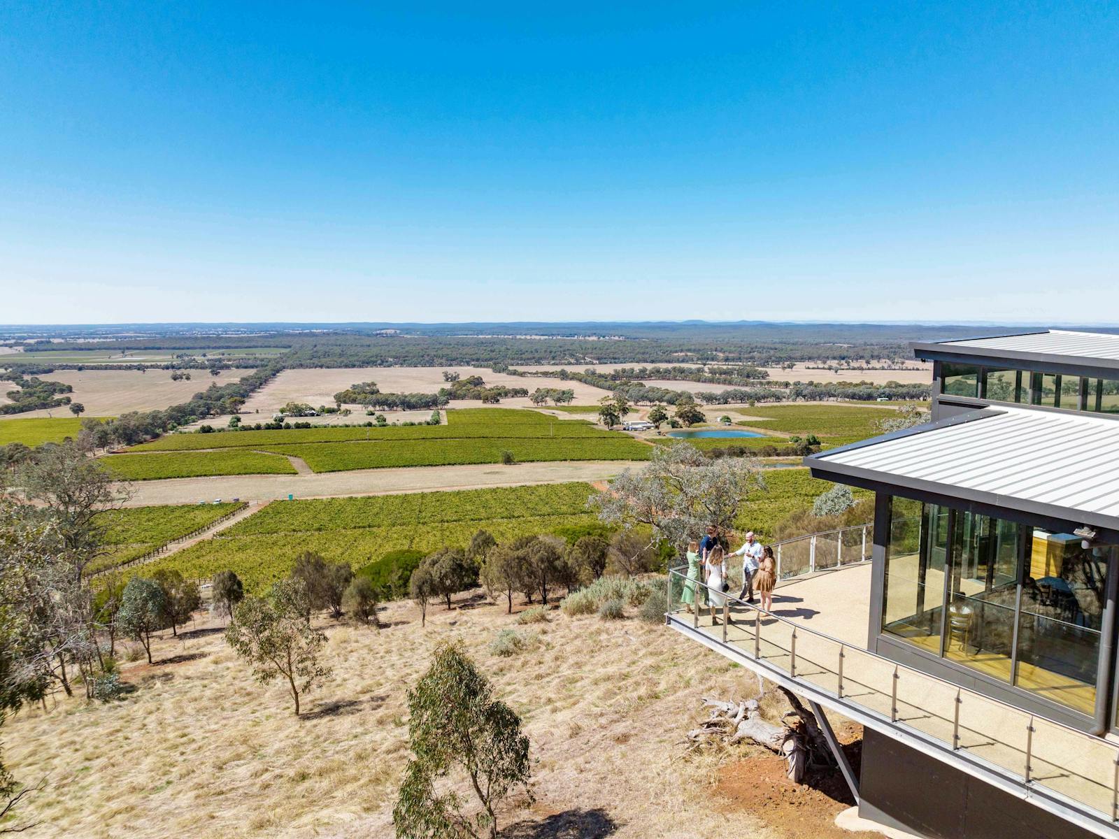 Rambling tour group wine tasting on the deck of the cellar door, overlooking the Mt Camel Range