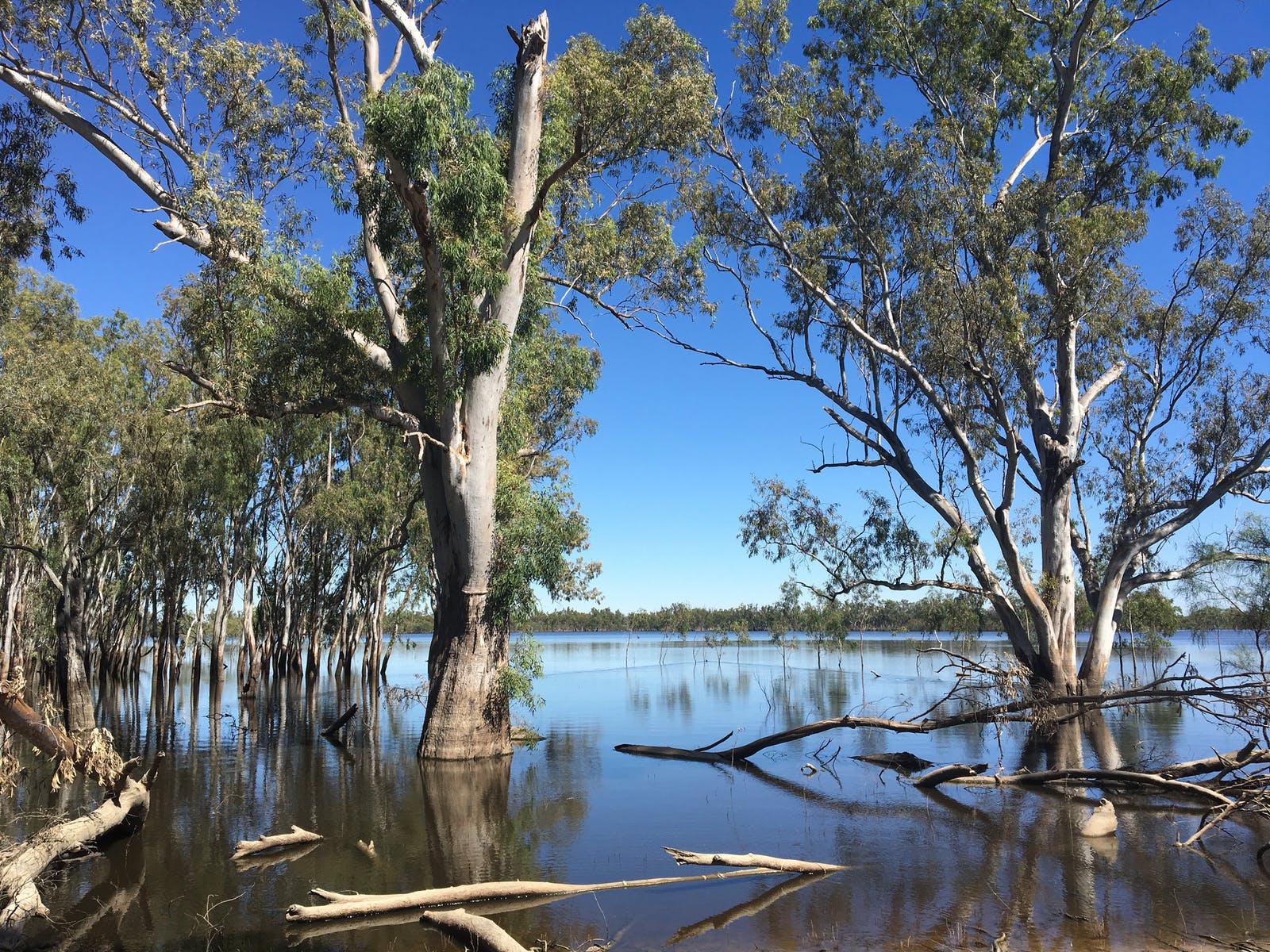 Lake Bitterang Hattah National Park