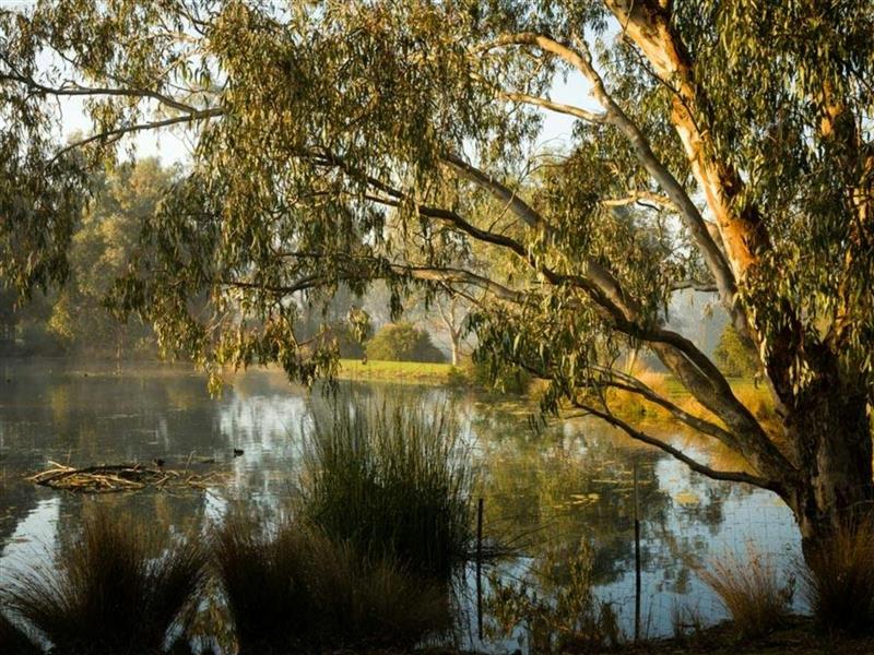 Wombat Bend nature lovers retreat yarra valley