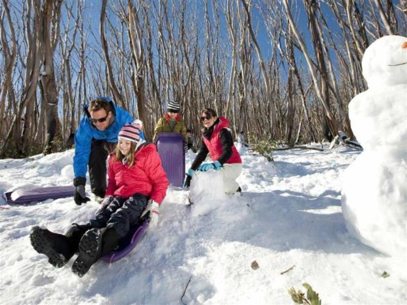 Baw Baw National Park