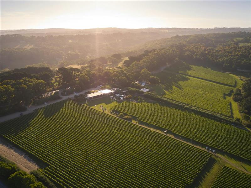 Drone view of Montalto estate at sunset