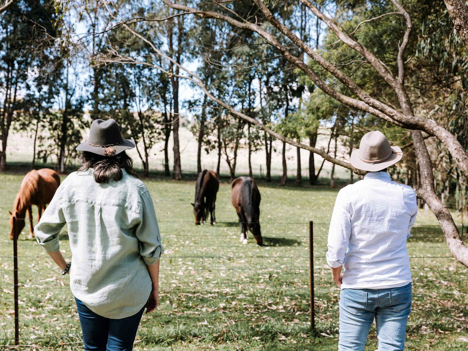 Outside with the horses at Ashby Grove