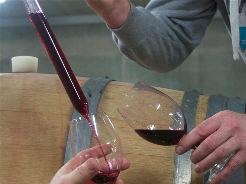 Barrel Sample at Pimpernel