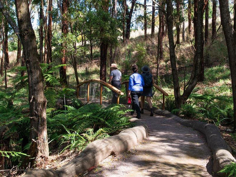 Wildlife Wonders, Great Ocean Road, Victoria, Australia