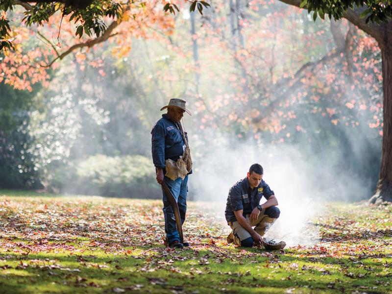 Aboriginal Heritage Walk, Royal Botanic Gardens, Melbourne, Victoria, Australia