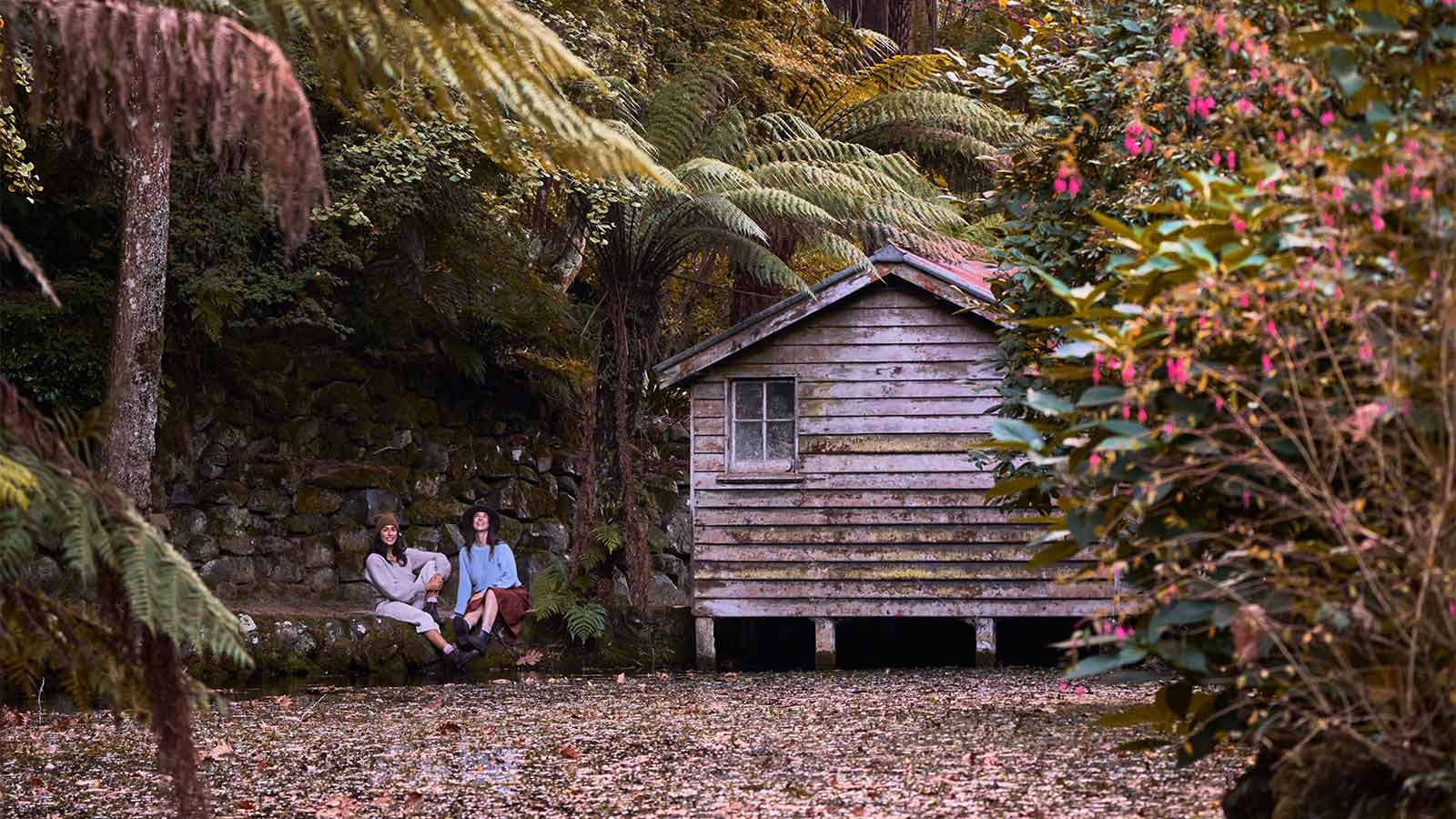 Alfred Nicholas Gardens, Yarra Valley and Dandenong Ranges, Victoria, Australia