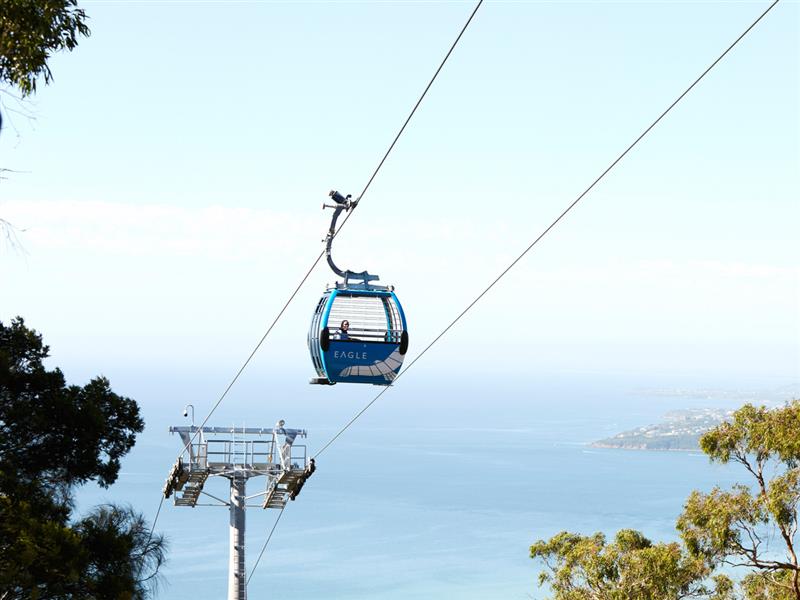 Arthurs Seat Eagle, Mornington Peninsula, Victoria, Australia