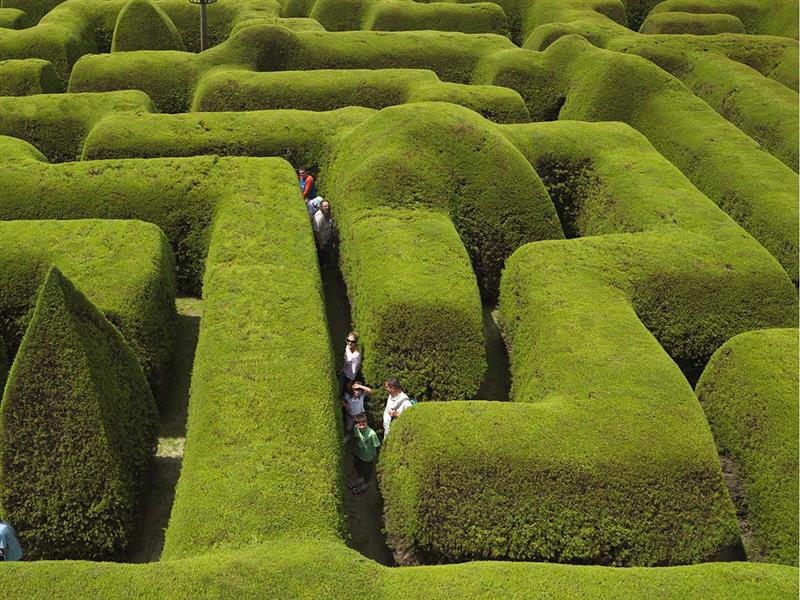 Ashcombe Maze and Lavender Gardens, Mornington Peninsula, Victoria, Australia