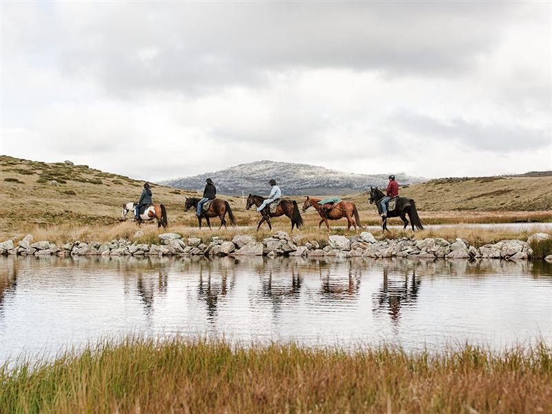 Bogong Horseback Adventures, High Country, Victoria