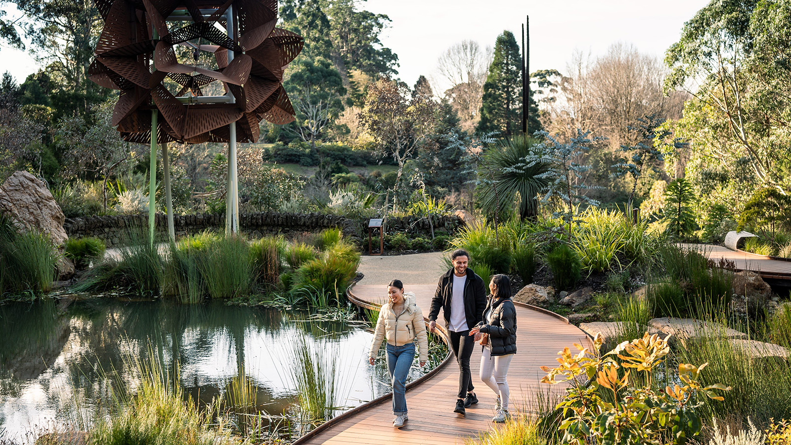 Dandenong Ranges Botanic Garden, Victoria, Australia