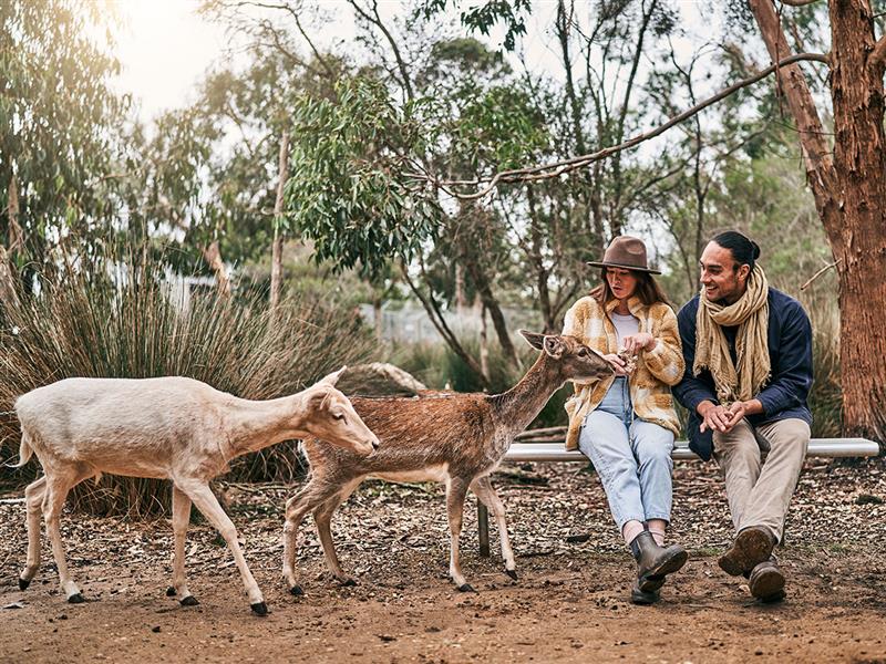 Halls Gap Zoo, Grampians, Victoria