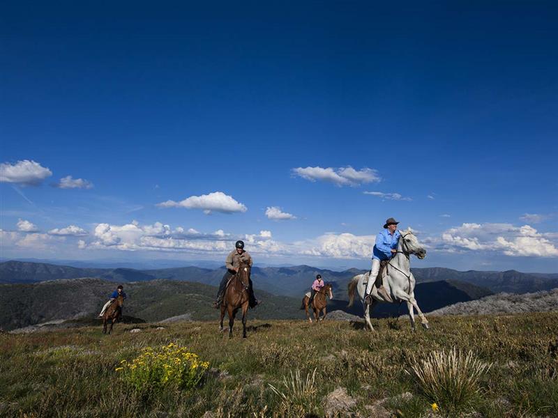 Horse riding at Mount Stirling, High Country, Victoria, Australia