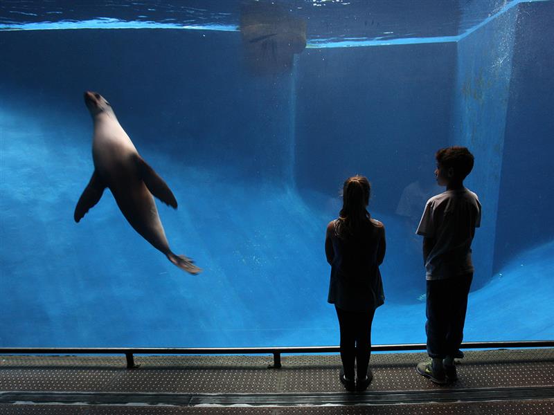 Melbourne Zoo, Melbourne, Victoria, Australia