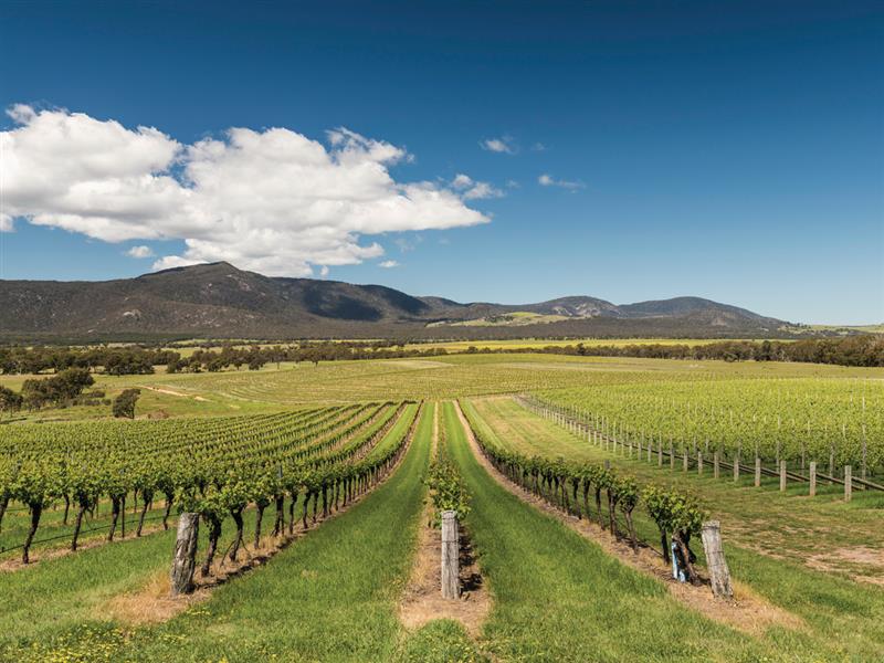 Mount Langi Ghiran, Bayindeen, Grampians, Victoria, Australia