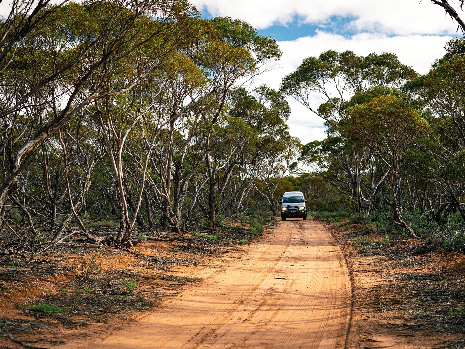 Murray Sunset NP, the Murray, Victoria