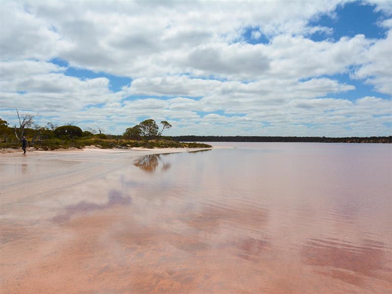 Pink Lakes, The Murray, Victoria, Australia