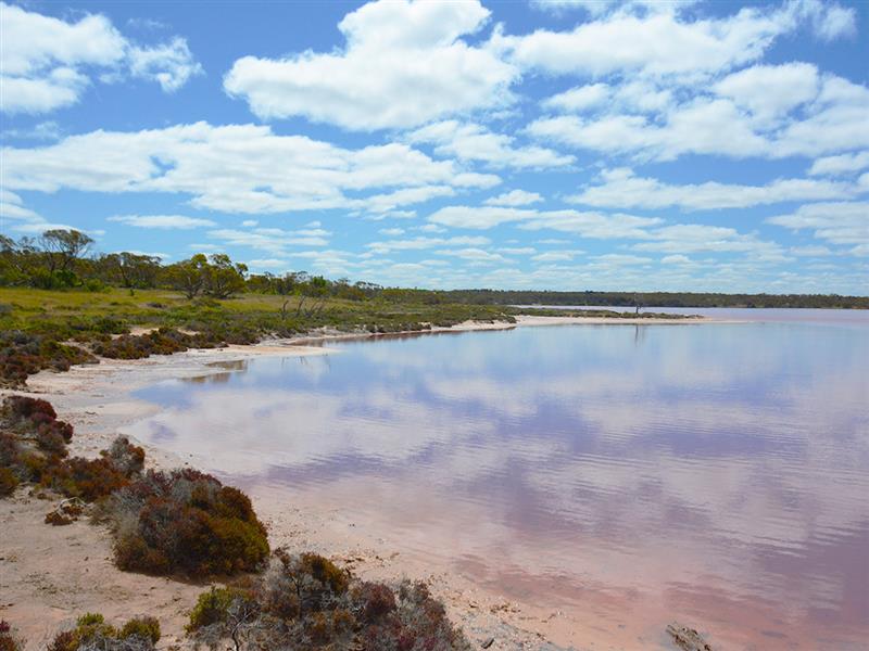 Pink Lakes Trail, The Murray, Victoria, Australia