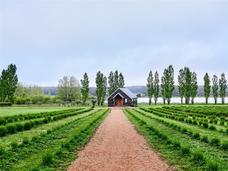 Sault Restaurant, Daylesford, Victoria