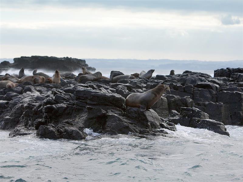 Seal Rock, Phillip Island, Victoria, Australia