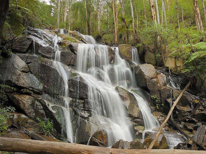 Toorongo Falls, Gippsland, Victoria, Australia