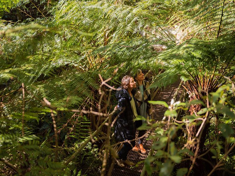 Uralla Nature reserve, gippsland, victoria