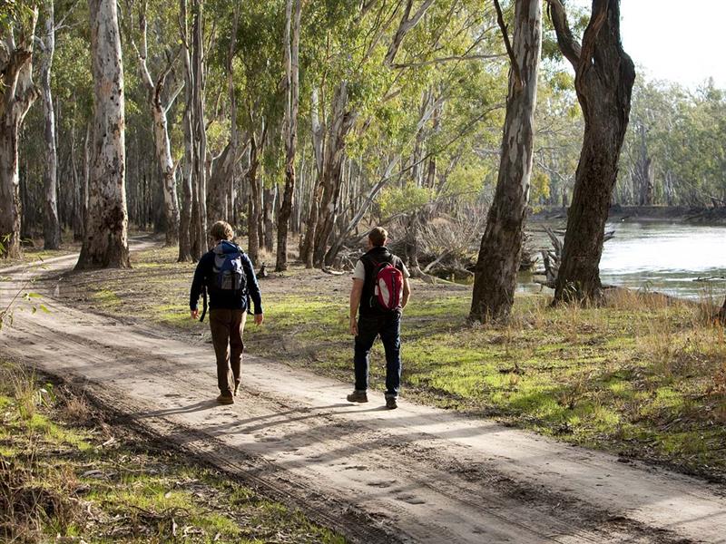 Walking in Barmah State Park, The Murray, Victoria. Australia