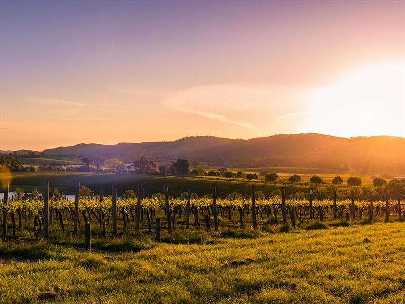 Yarra Valley, Victoria, Australia